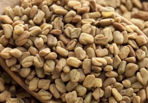 Fenugreek Extracts: Everything You Need to Know