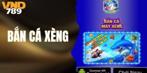 Bắn Cá Xèng - Trò Chơi Giải Trí Hấp Dẫn Không Thể Bỏ Lỡ