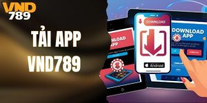 Tải App VND789 Để Cập Nhật Liên Tục Các Sự Kiện Hấp Dẫn