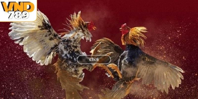 Trải nghiệm những ưu điểm vượt bậc tại VND789