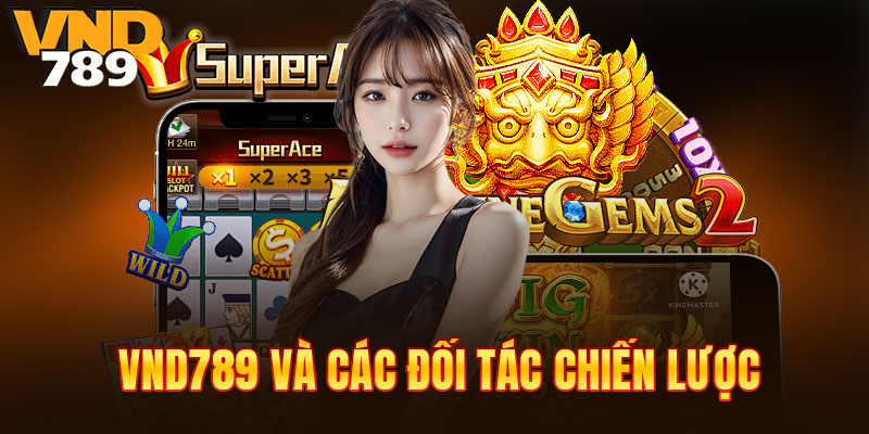 VND789 và các đối tác chiến lược