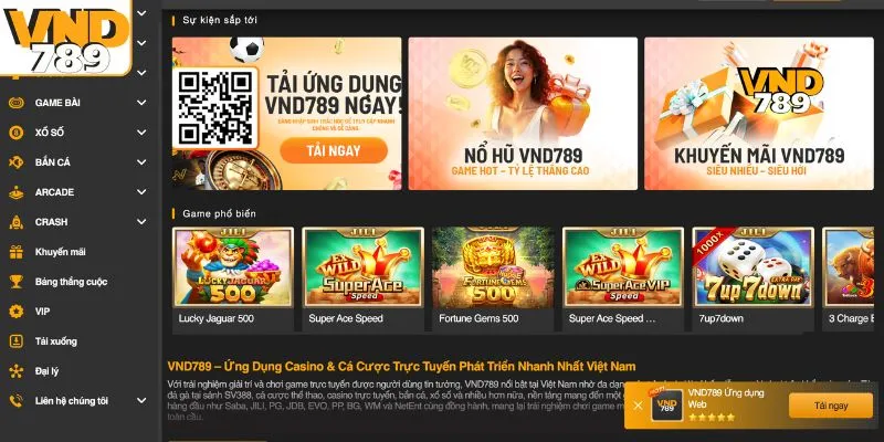 Những cam kết của VN789 đối với hội viên